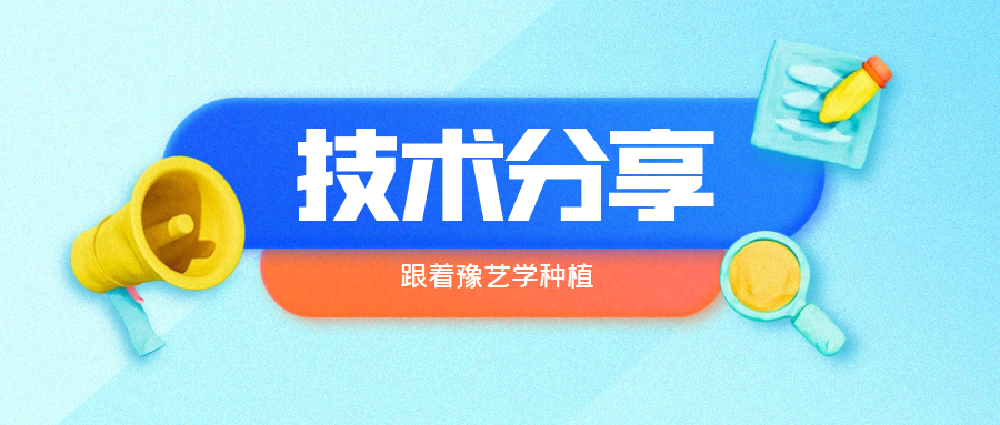 秋大棚辣椒、番茄育苗關(guān)鍵技術(shù)分享